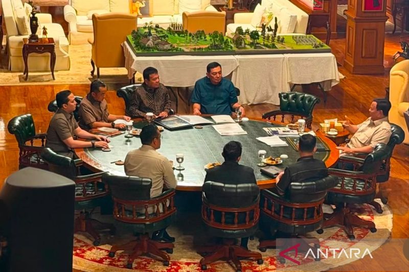 Prabowo Perintahkan PLN dan Pertamina Pangkas Anak dan Cucu Perusahaan