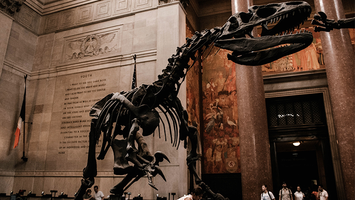 Menginap Semalam Demi Pengalaman ala 'Night at the Museum'