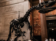 Menginap Semalam Demi Pengalaman ala 'Night at the Museum'