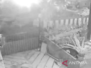 Dentuman Kilat Merah di Cianjur Bukan Gempa, BMKG Duga Buatan Manusia