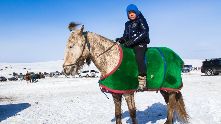 Musim Dingin Tewaskan 700 Ribu Ternak di Mongolia
