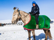 Musim Dingin Tewaskan 700 Ribu Ternak di Mongolia