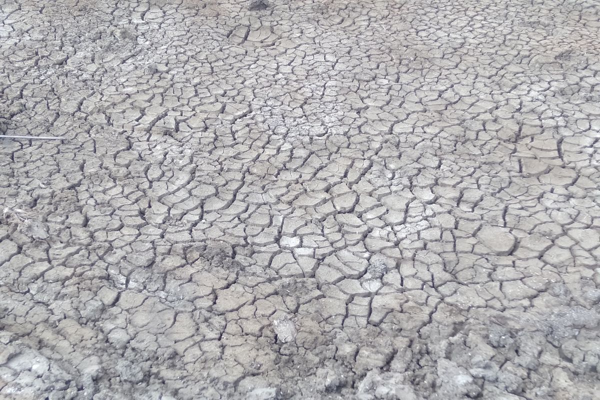4.382 Keluarga di Bantul Terdampak Kekeringan akibat Kemarau Panjang