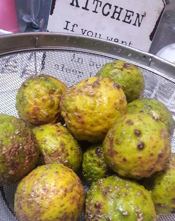 naniura