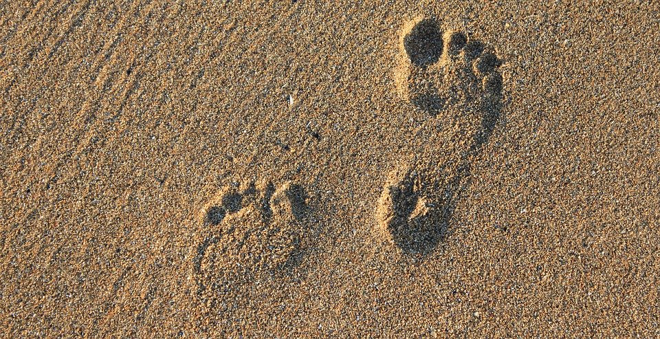 Setiap orang memiliki jari kaki berbeda (Foto: Pixabay/bluebudgie)