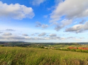 6 Kota ini Memimpin menuju Masa Depan yang Lebih Hijau