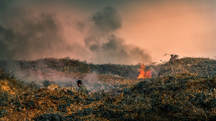 bakar