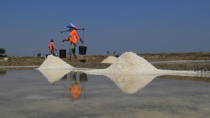 Harga Garam di Kendari Naik