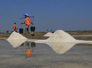 Harga Garam di Kendari Naik