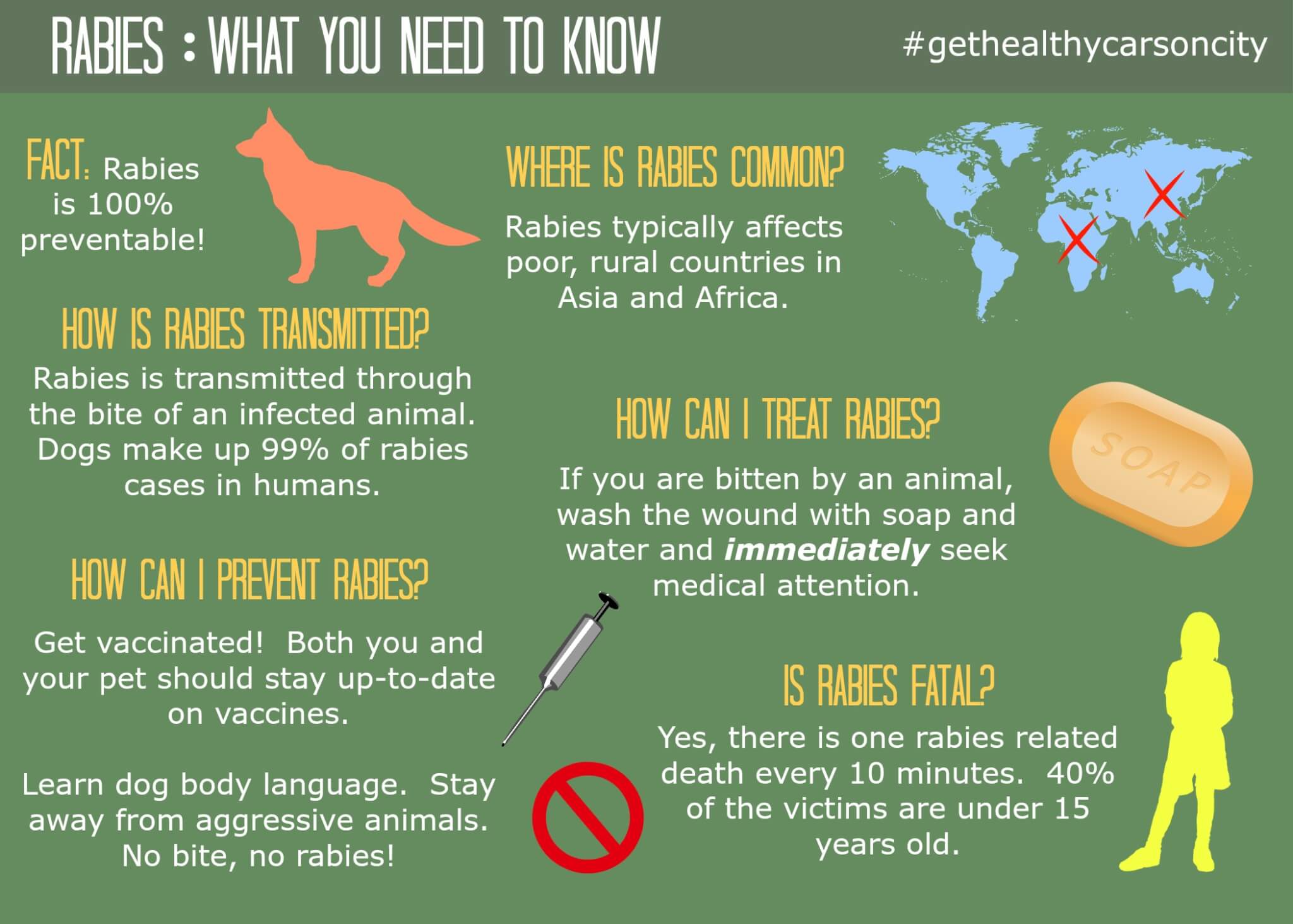 5 Fakta Penting yang Harus Kamu Ketahui Tentang Rabies