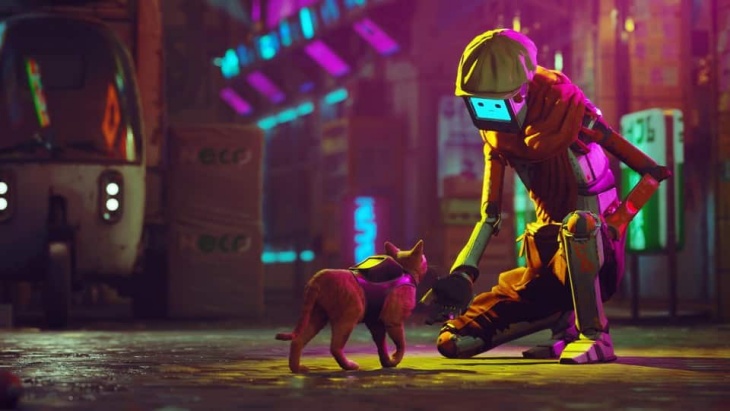 Pengembang Game 'Stray' Galang Dana untuk Bantu Kucing Jalanan