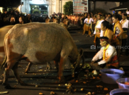 Kirab Malam Satu Sura, Keraton Solo Keluarkan Pusaka Lebih Banyak
