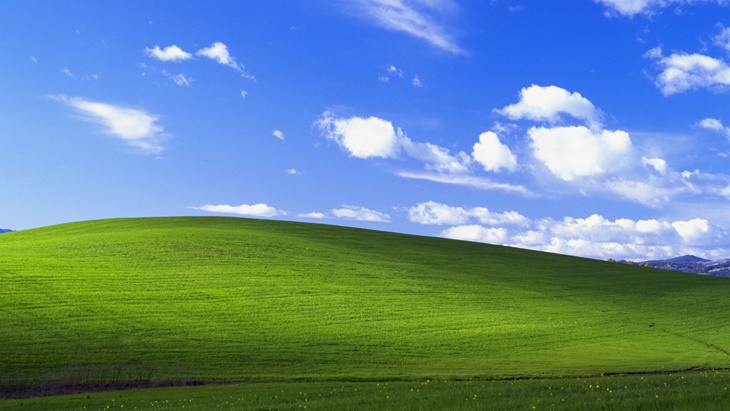 5 Tipe Wallpaper Laptop Orang Kantoran Berdasarkan Karakter, Valid?