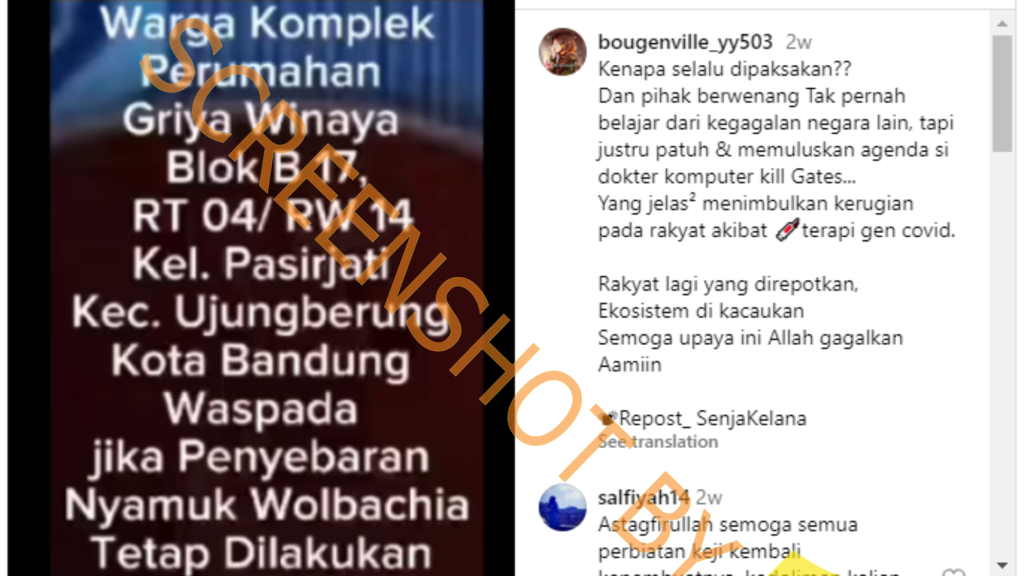 [HOAKS atau FAKTA] : Nyamuk Wolbachia Agenda Bill Gates Disebarkan di Kota Bandung