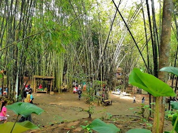 kampung bambu klatakan