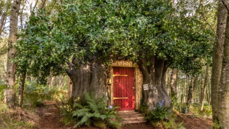 Rumah Pohon 'Winnie the Pooh' Ada di Dunia Nyata