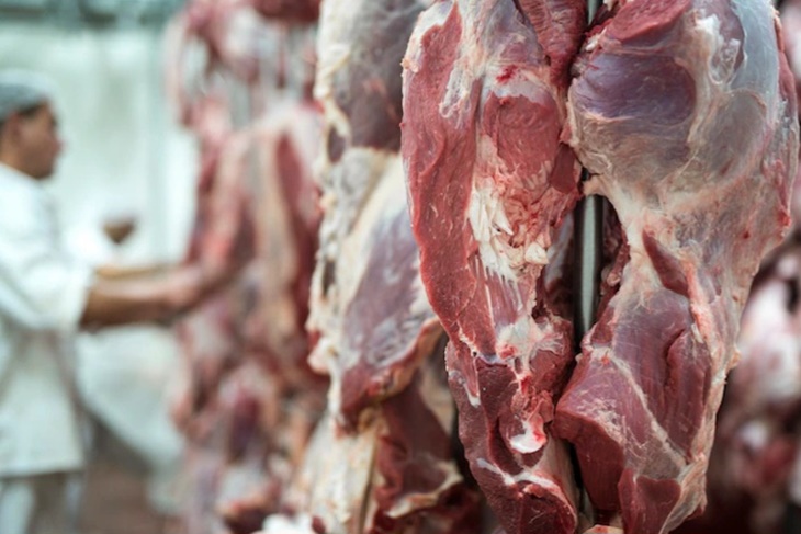 daging