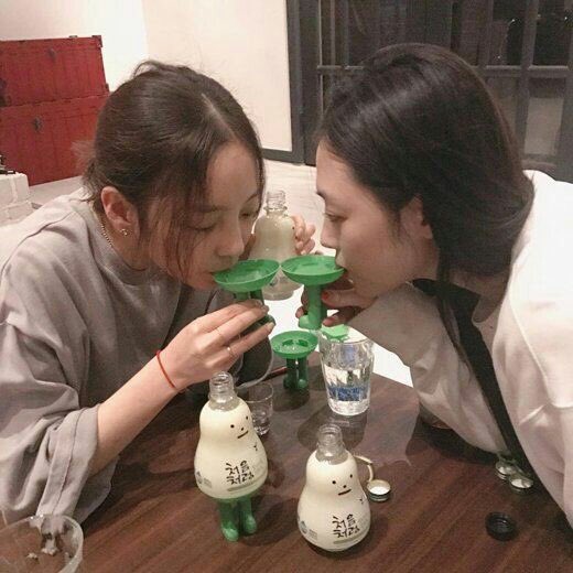 Goo Hara dan Sulli