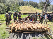 TNI Gelar Acara Bakar Batu dan Berbagi Sembako di Distrik Tima