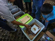 7 Metode Komposter Olah Sampah Organik yang Bisa Dilakukan di Rumah