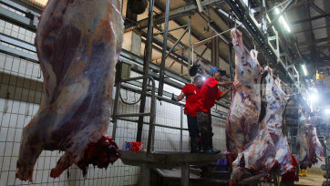 Melihat Pemotongan Hewan Kurban Idul Adha 1445 Hijriyah di RPH Dharma Jaya Jakarta