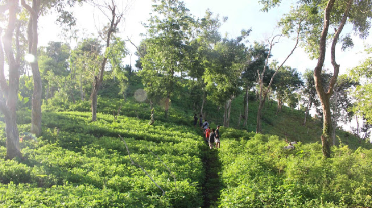 Gunung Sasak Bakal Dijadikan Destinasi Wisata Baru di Lombok