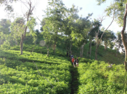 Gunung Sasak Bakal Dijadikan Destinasi Wisata Baru di Lombok