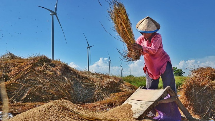 UNDP Gelar Kompetisi Foto Perempuan dan Energi Bersih