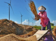 UNDP Gelar Kompetisi Foto Perempuan dan Energi Bersih