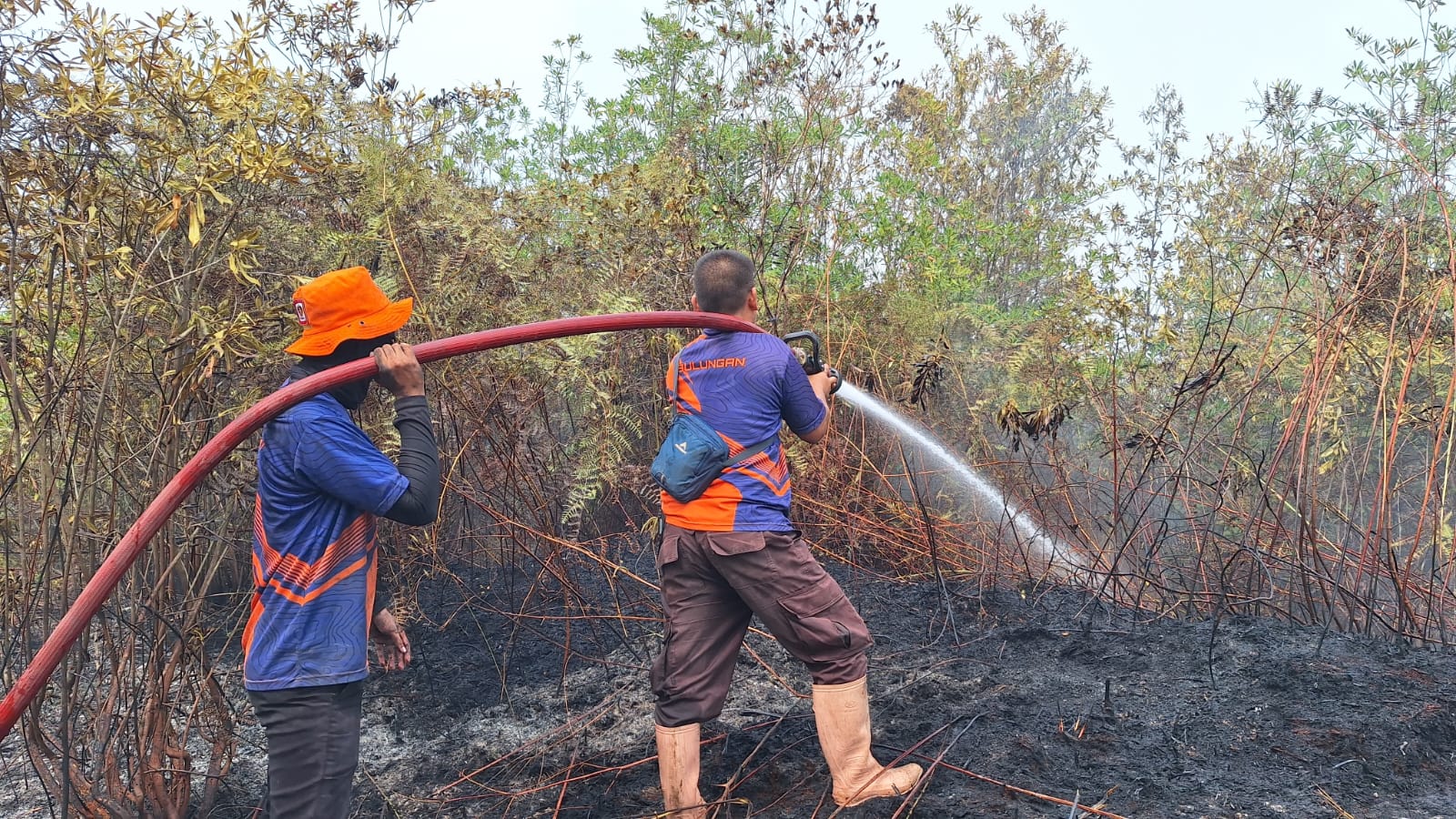 BNPB Andalkan Modifikasi Cuaca untuk Tekan Asap Karhutla
