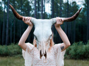 Berkelana ke Alam Liar, Waspadai Hewan-Hewan Ini