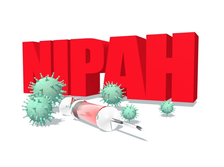 Virus ini juga bermulai dari hewan. (Foto: 123RF/Evgeny Gromov)