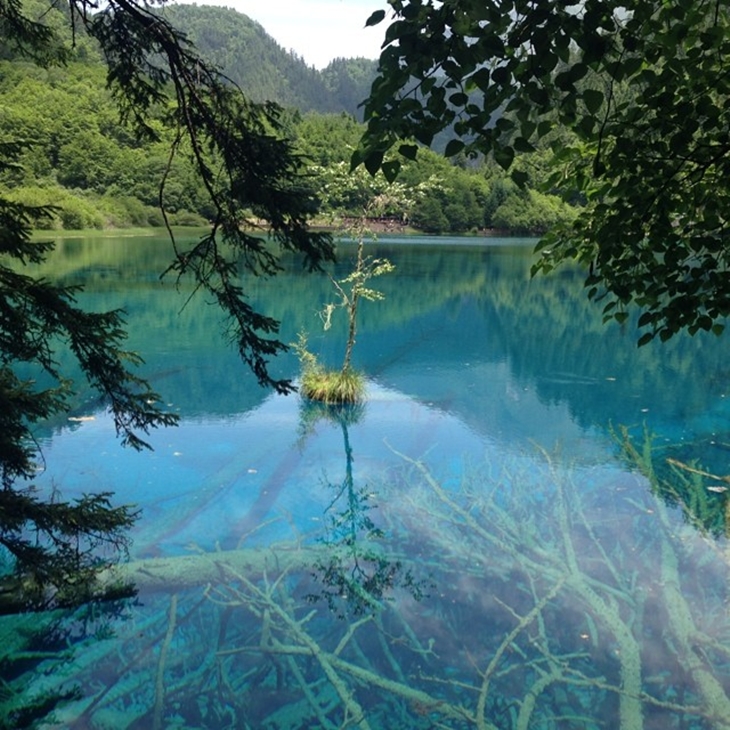 Jiuzhaigou National Park. (Foto: instagram.com/franx92x)