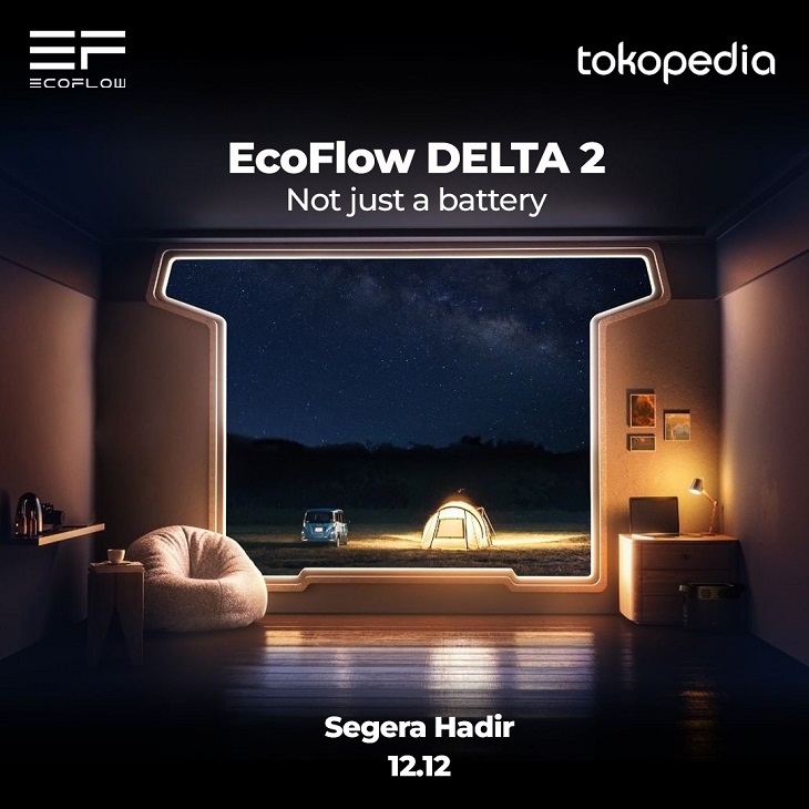 ecoflow delta 2