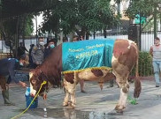 Celengan Kurban Polda Metro Jaya Berhasil Kumpulkan 256 Sapi dan 280 Kambing