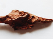 Informasi Risiko Tembakau Alternatif Harus Berbasis Fakta