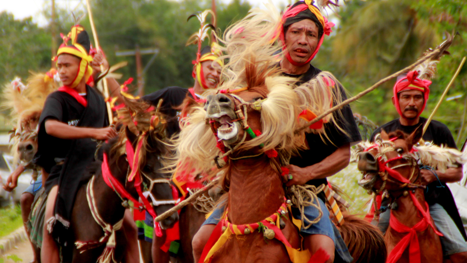 Kemeriahaan Festival Kuda Dan Kain Tenun Sumba