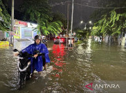 BMKG Sebut Penurunan Permukaan Tanah Pemicu Lain Pulau Jawa Rentan Banjir