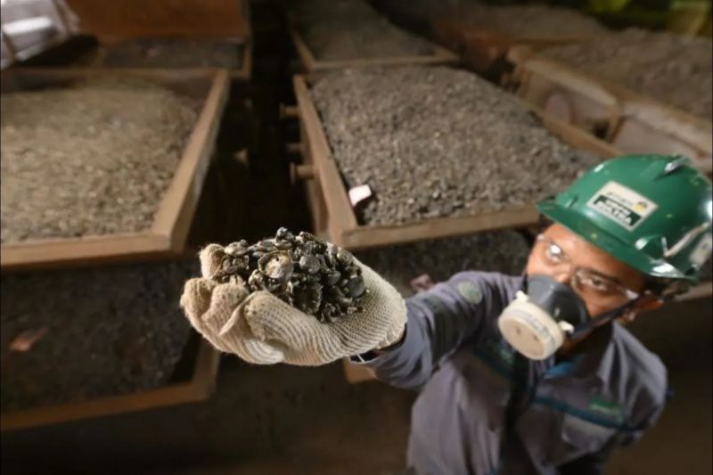 Investor Penghiliran Nikel Mundur, Produksi Massal Baterai Kendaraan Listrik Diklaim Tetap Jalan