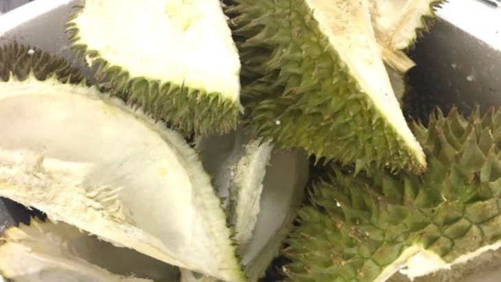 Perban Antibakteri dari Kulit Durian