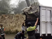 [HOAKS atau FAKTA] Dinosaurus Ngamuk Saat Diturunkan dari Mobil Truk