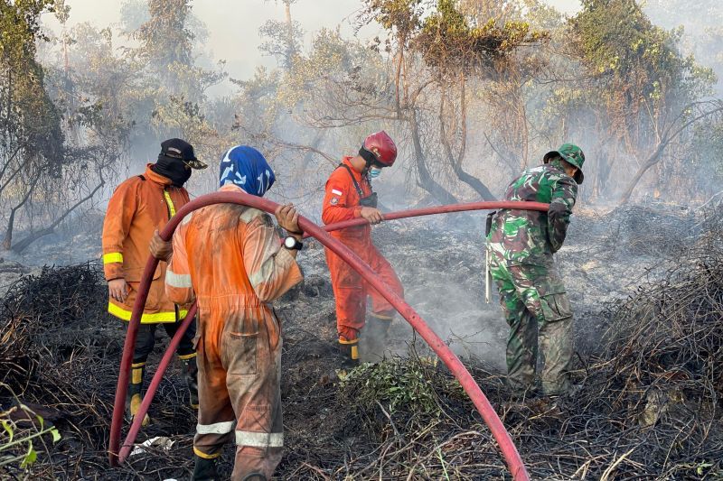 Bencana Kebakaran Hutan Mulai Mengintai Indonesia, 38 Kasus Terjadi di Kalteng