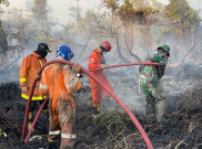 Malaysia Diminta Ikut Tanggung Jawab Pada Kebakaran Hutan di Indonesia 