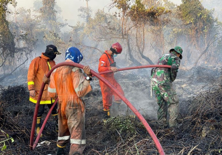 Sudah Satu Bulan Kebakaran Hutan dan Lahan Terjadi di Riau, Status Tanggap Darurat Diperpanjang