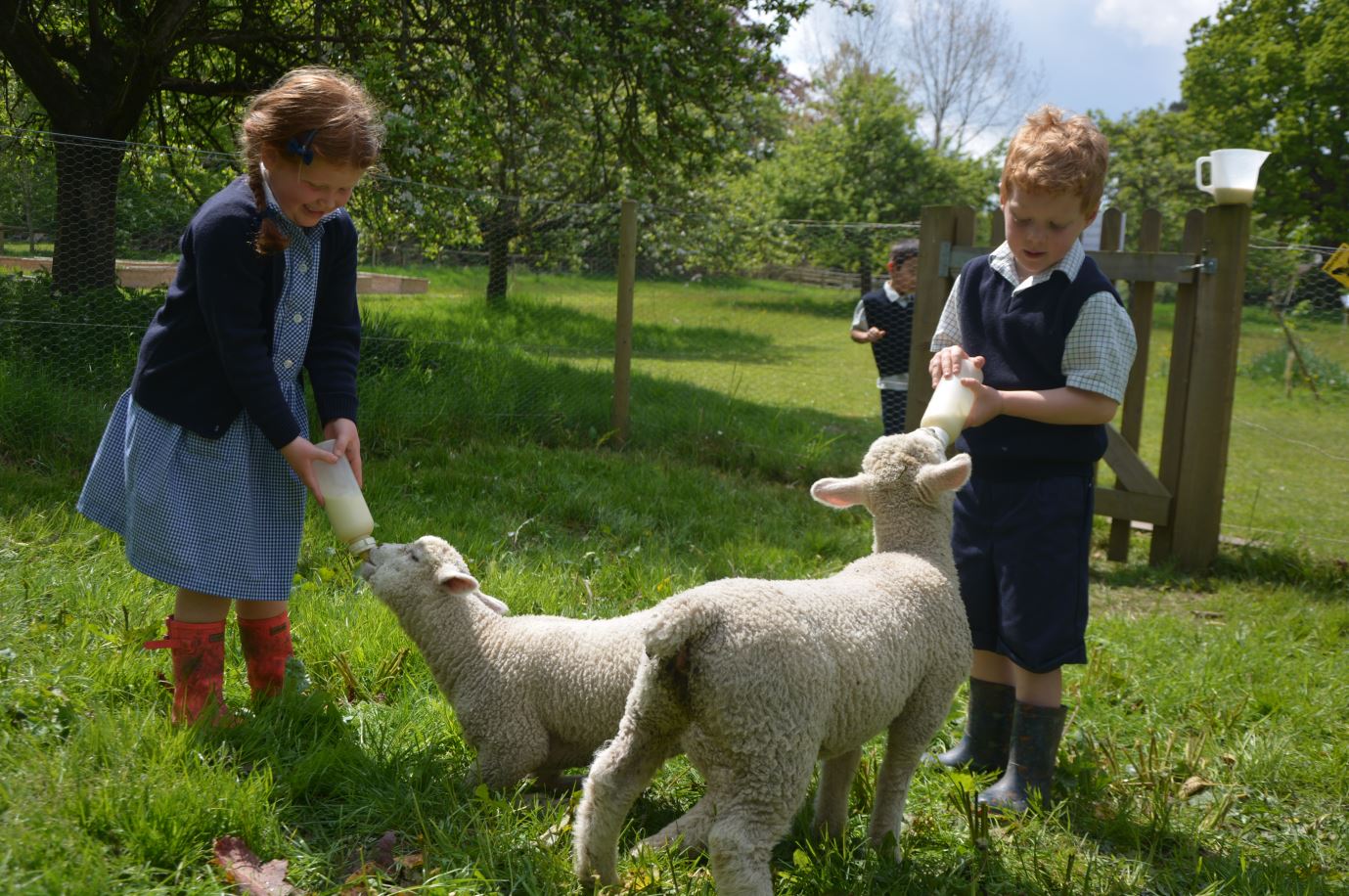 lambrook School