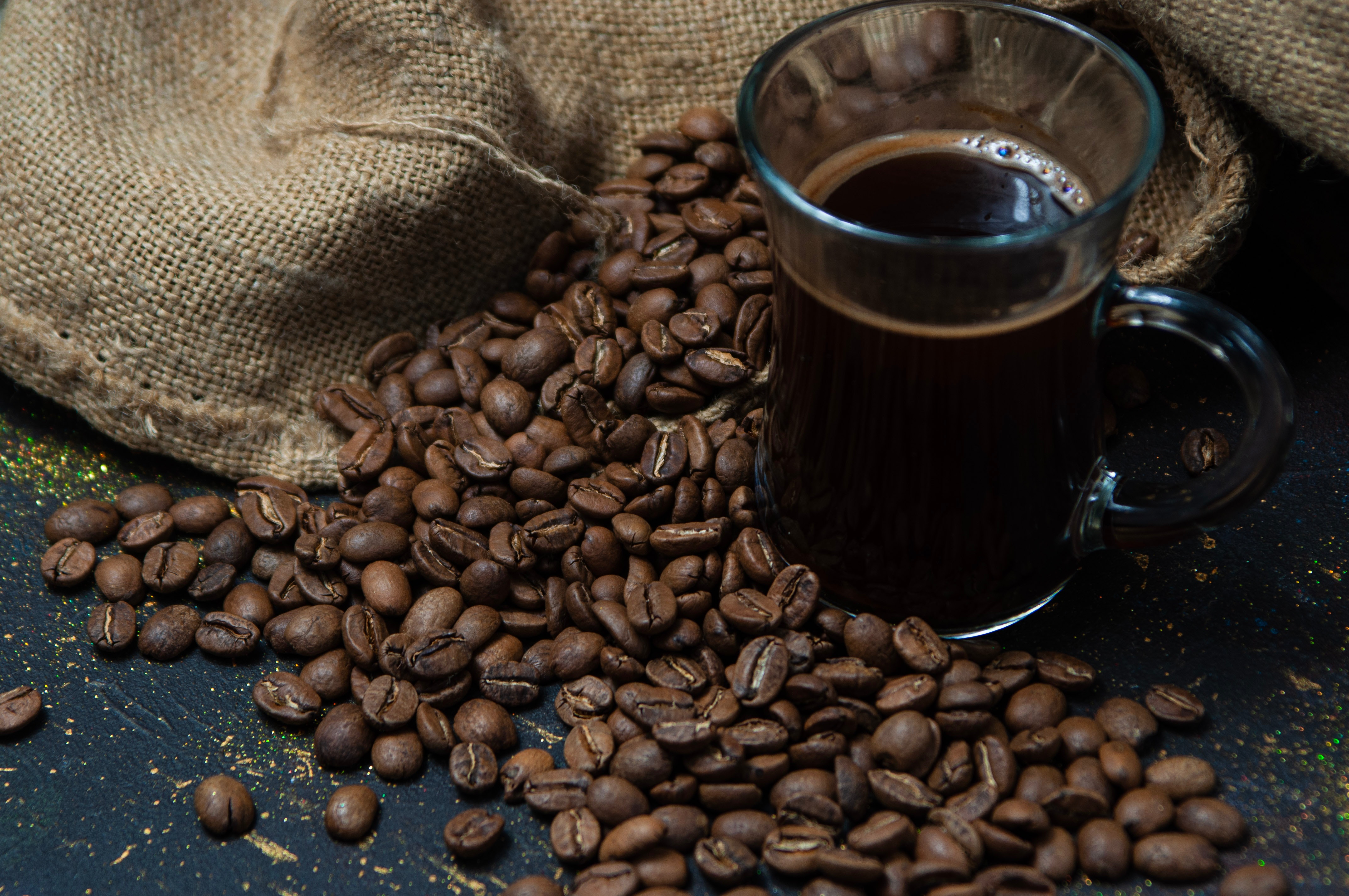 kopi flores