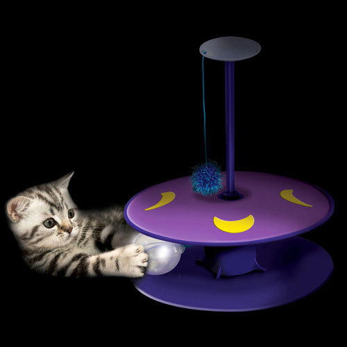 mainan kucing