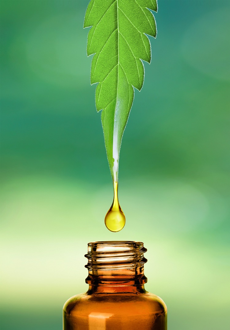 Mengenal CBD Oil dan Khasiat di Balik Ekstrak Tanaman "Spesial" yang Kontroversial