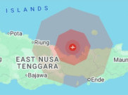 BMKG Catat 8.330 Gempa Susulan di Flores NTT, Bantah Hoaks Gempa M8,1 Picu Tsunami