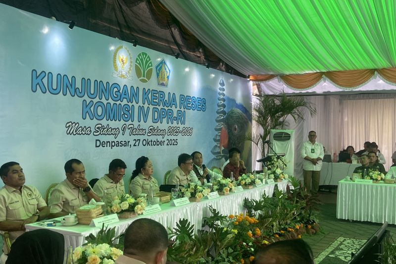Menhut Raja Juli Minta Maaf Pembakaran Barang Bukti Mahkota Cenderawasih Dapat Reaksi Dari Warga Papua